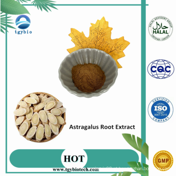 Alta qualidade 100% Natural Astragalus Raiz Extract Powder